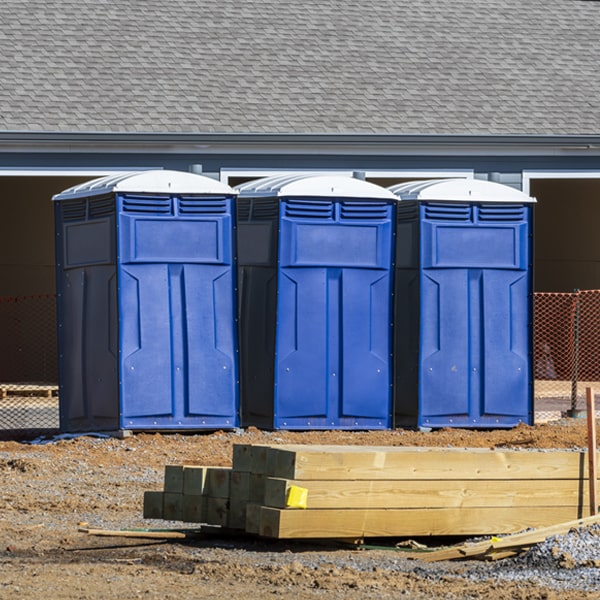 are there any restrictions on what items can be disposed of in the porta potties in Mount Lebanon